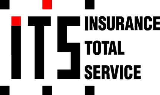 損保ジャパン 保険代理店 insurance total service ロゴ